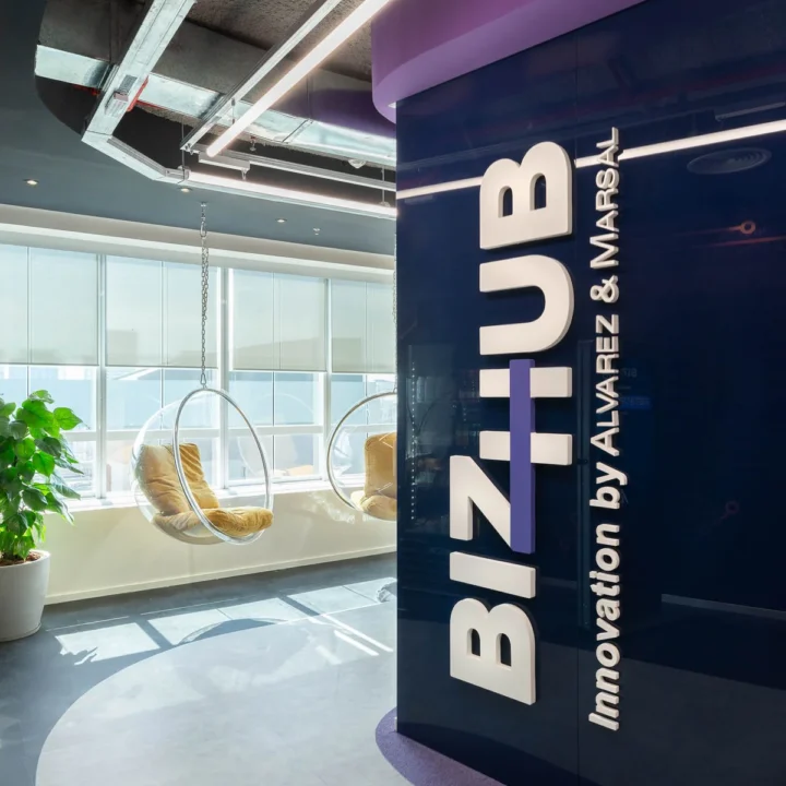 Case Bizhub